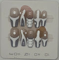 Press-On Nails, Coffin Shape